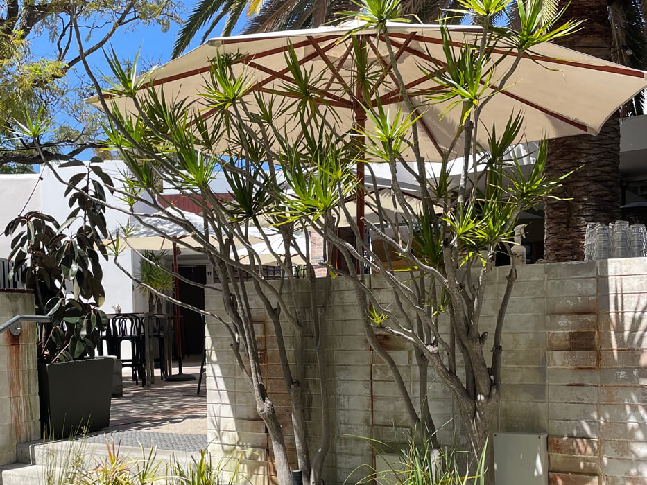 Brisbane Hotel Renovation<br>sabi art&design